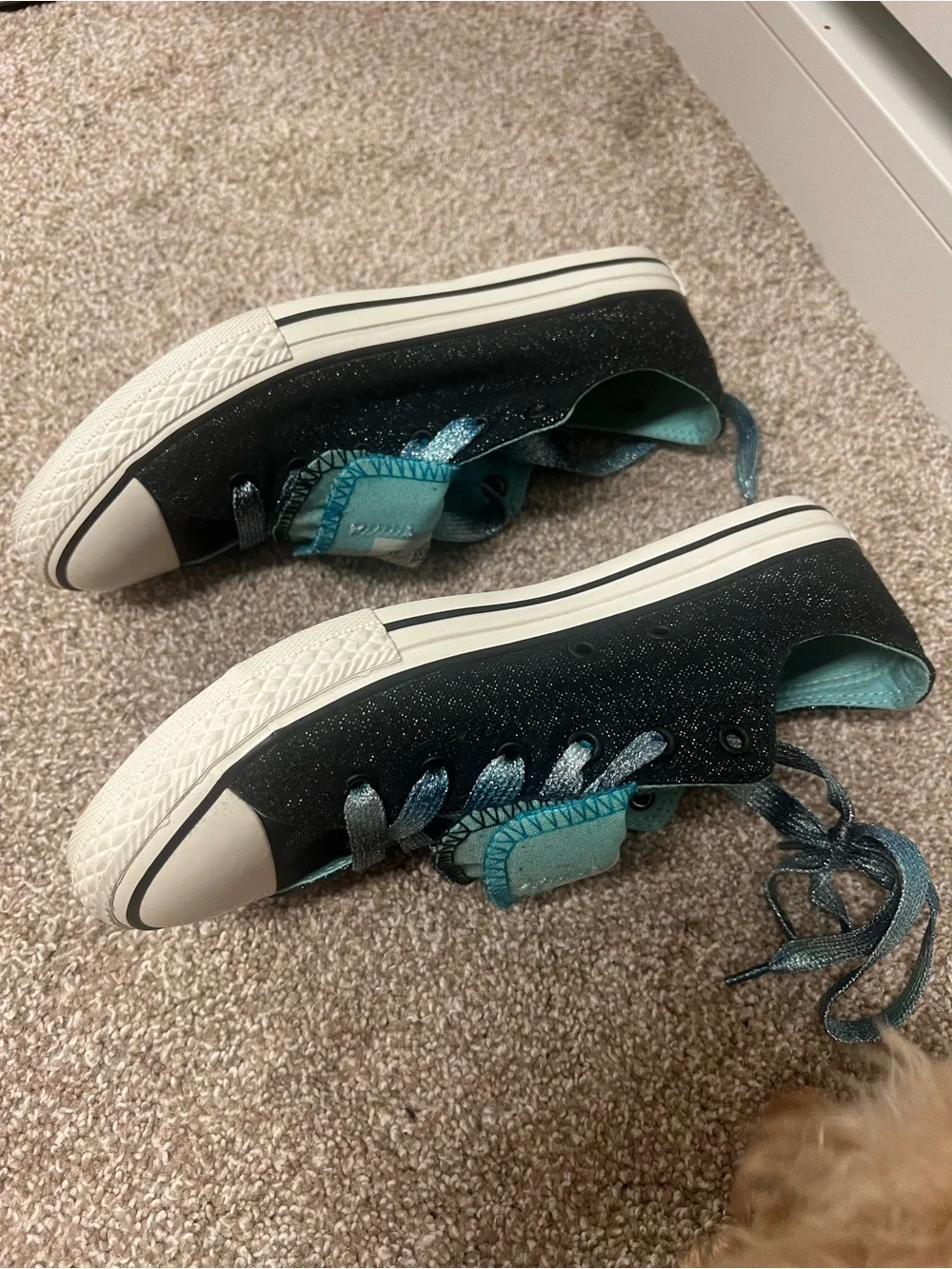 Converse brand new